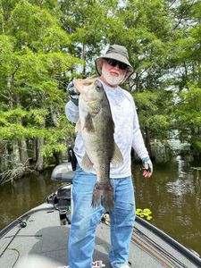 Largemouth Bass catches – Tennessee's pride